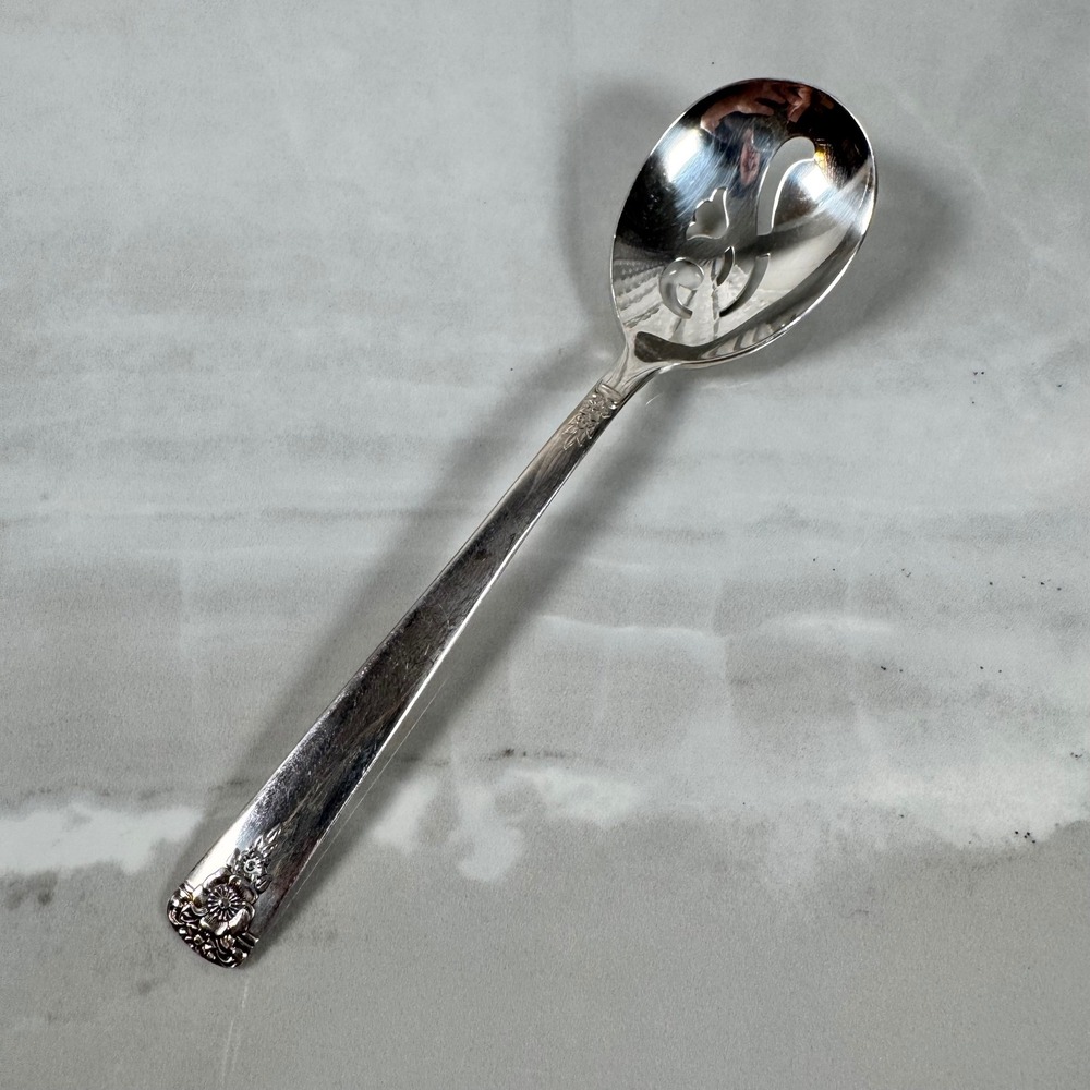 WM Rogers International Silver Large Sugar Sifter Spoon Spring Charm SilverPlate